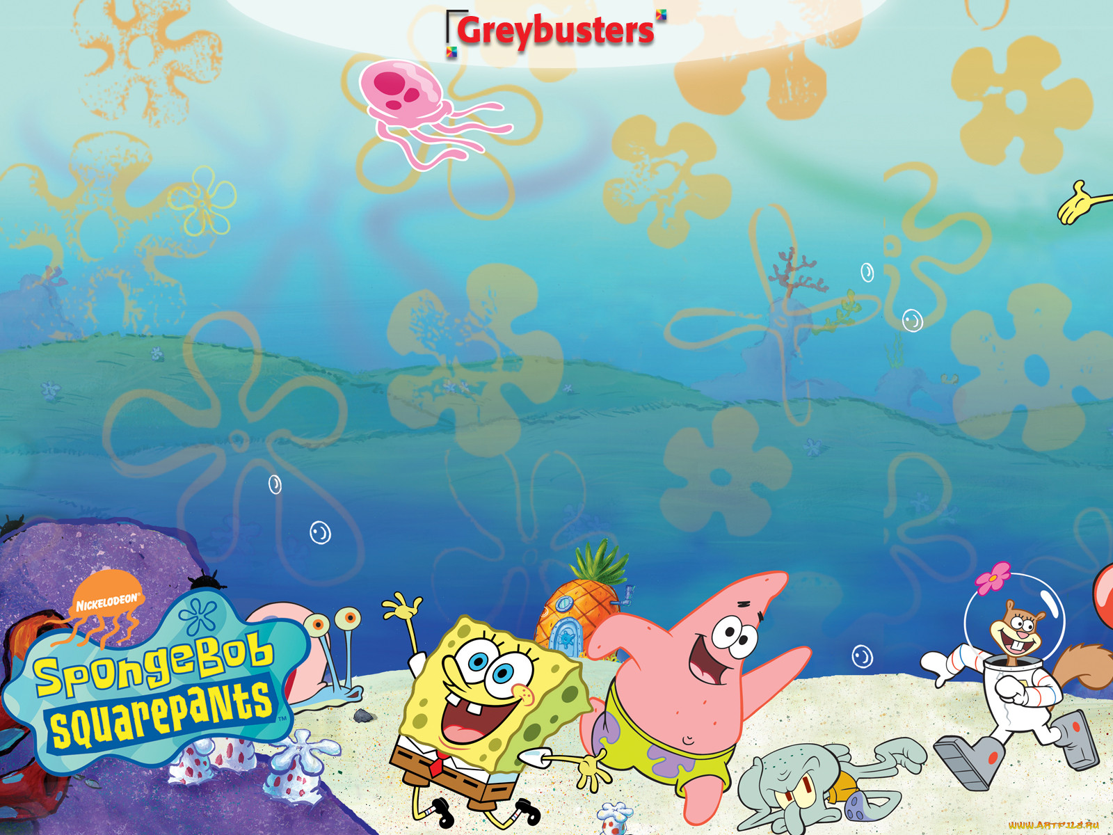 , spongebob, squarepants